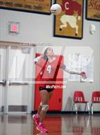 Photo from the gallery "Gardiner @ Cony"