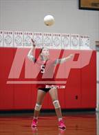 Photo from the gallery "Gardiner @ Cony"