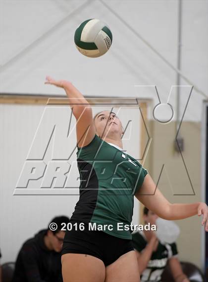 Thumbnail 2 in St. Petersburg vs John Paul II Catholic (Annual Keswick Invitational Tournament) photogallery.
