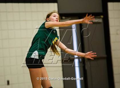 Thumbnail 2 in White Oak @ Havelock photogallery.
