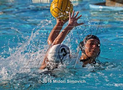 Thumbnail 3 in El Camino @ Oceanside photogallery.