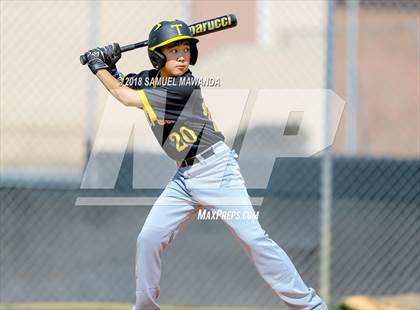 Thumbnail 2 in St. Genevieve vs Bosco Tech photogallery.