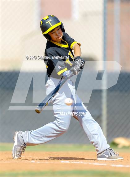 Thumbnail 3 in St. Genevieve vs Bosco Tech photogallery.