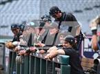 Photo from the gallery "Irvine vs. Beckman (Halo Classic)"