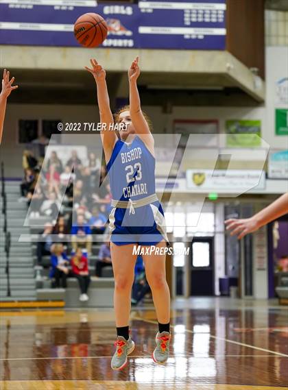 Thumbnail 3 in Indianapolis Bishop Chatard vs. Tri-West Hendricks (IHSAA 3A Regional Semifinal) photogallery.