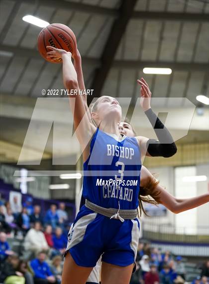 Thumbnail 2 in Indianapolis Bishop Chatard vs. Tri-West Hendricks (IHSAA 3A Regional Semifinal) photogallery.
