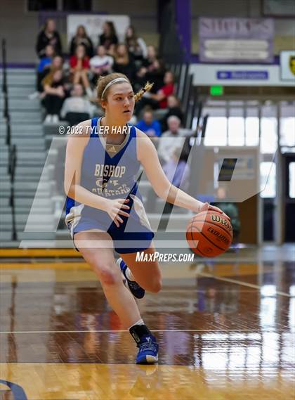 Thumbnail 2 in Indianapolis Bishop Chatard vs. Tri-West Hendricks (IHSAA 3A Regional Semifinal) photogallery.