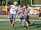 Photo from the gallery "West Park @ Roseville"