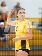 Photo from the gallery "Walled Lake Northern @ Adams"