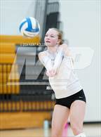 Photo from the gallery "Walled Lake Northern @ Adams"