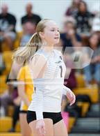 Photo from the gallery "Walled Lake Northern @ Adams"
