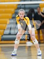 Photo from the gallery "Walled Lake Northern @ Adams"