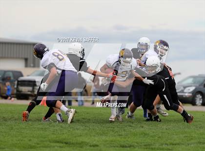 Thumbnail 3 in Kit Carson @ Flagler photogallery.