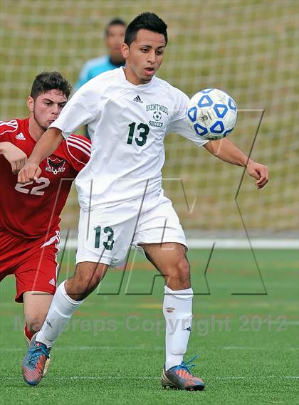 Thumbnail 1 in Brentwood vs Half Hollow Hills East (Section 11 Class AA Final) photogallery.