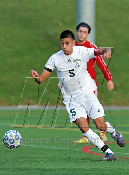 Thumbnail 1 in Brentwood vs Half Hollow Hills East (Section 11 Class AA Final) photogallery.