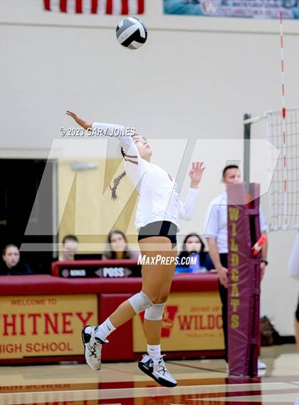 Thumbnail 3 in Inderkum @ Whitney photogallery.