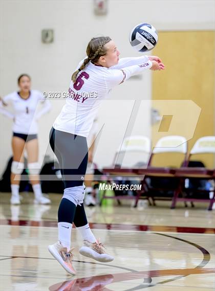 Thumbnail 1 in Inderkum @ Whitney photogallery.