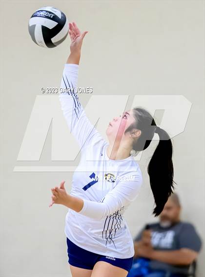 Thumbnail 1 in Inderkum @ Whitney photogallery.