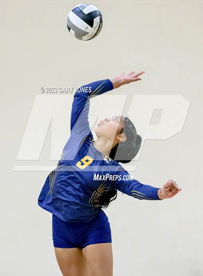 Thumbnail 1 in Inderkum @ Whitney photogallery.