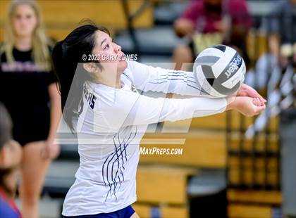 Thumbnail 3 in Inderkum @ Whitney photogallery.