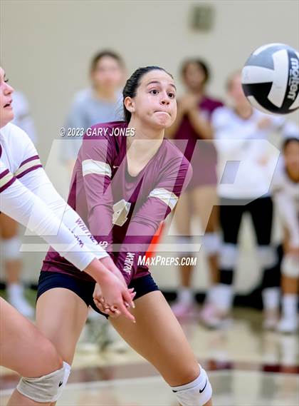 Thumbnail 1 in Inderkum @ Whitney photogallery.