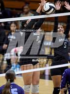 Photo from the gallery "Swansboro @ Havelock"