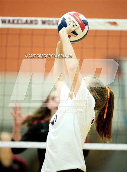 Thumbnail 1 in Liberty vs Wakeland photogallery.