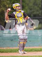 Photo from the gallery "Novato @ Sonoma Valley"