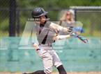 Photo from the gallery "Novato @ Sonoma Valley"