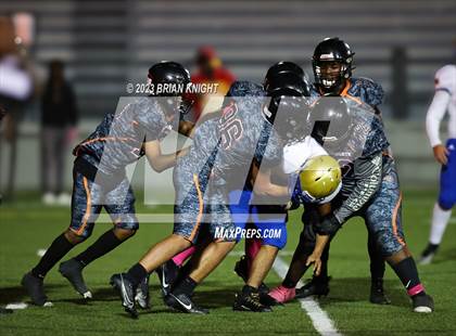 Thumbnail 3 in Osceola @ Lakeland photogallery.