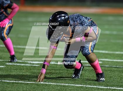 Thumbnail 3 in Osceola @ Lakeland photogallery.