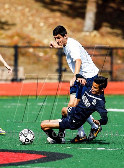 Thumbnail 2 in Aptos @ Branham (CIF CCS D3 Quarterfinal) photogallery.