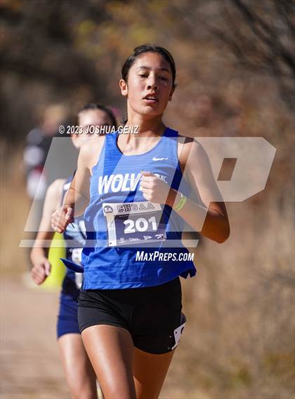 Thumbnail 3 in CHSAA 5A Cross Country Final photogallery.