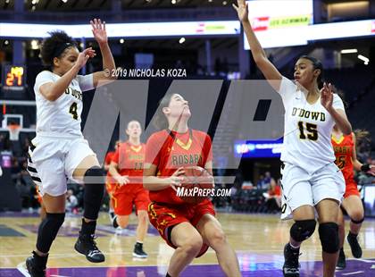 Thumbnail 1 in Rosary Academy vs. Bishop O'Dowd (CIF State D1 Final) photogallery.