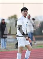 Photo from the gallery "Westminster @ Thomas Jefferson"