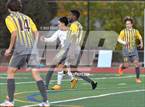 Photo from the gallery "Westminster @ Thomas Jefferson"