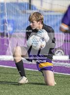 Photo from the gallery "Centennial @ Monticello"