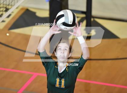 Thumbnail 1 in Archbishop Hannan vs Cabrini (Catholic League Tournament) photogallery.