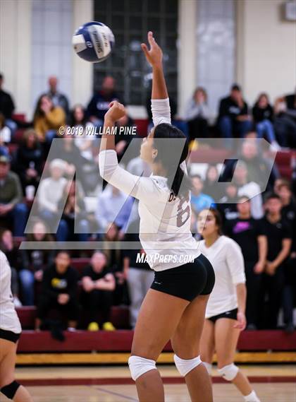 Thumbnail 1 in Pine Bush vs. Ossining (NYSPHSAA Class AA Regional Semifinal) photogallery.