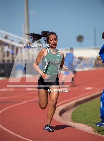 Thumbnail 2 in Tarpon Relays photogallery.