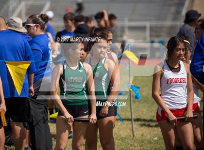 Thumbnail 1 in Tarpon Relays photogallery.