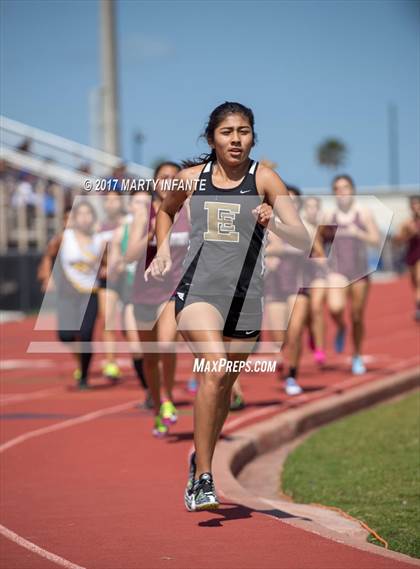 Thumbnail 2 in Tarpon Relays photogallery.