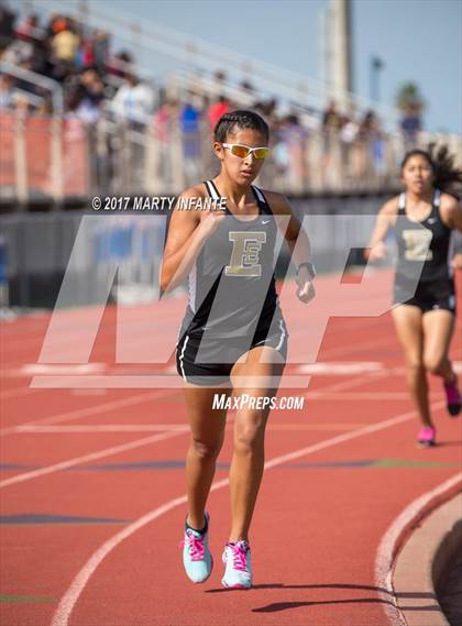 Thumbnail 1 in Tarpon Relays photogallery.