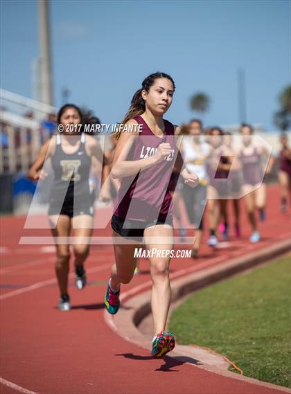 Thumbnail 1 in Tarpon Relays photogallery.