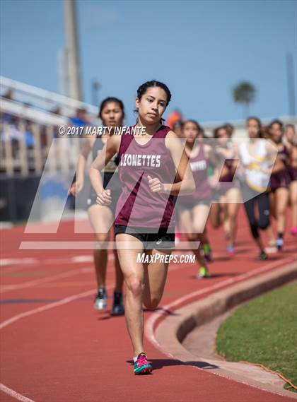 Thumbnail 3 in Tarpon Relays photogallery.