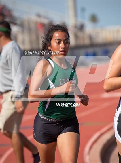 Thumbnail 2 in Tarpon Relays photogallery.