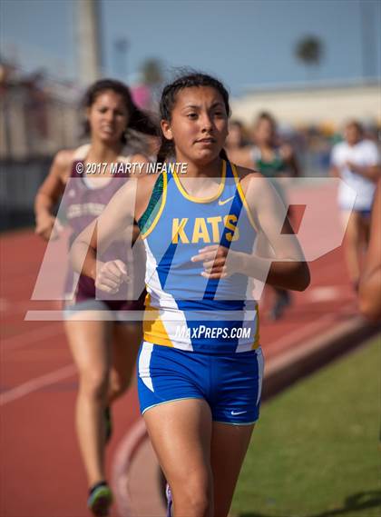 Thumbnail 1 in Tarpon Relays photogallery.