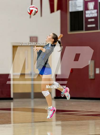 Thumbnail 1 in Rocklin @ Whitney photogallery.