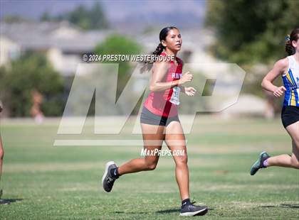 Thumbnail 2 in Moorpark Invitational (Junior) photogallery.