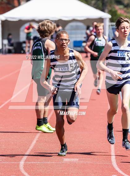 Thumbnail 3 in Kingston Tiger Relays (Boys Morning Races) photogallery.